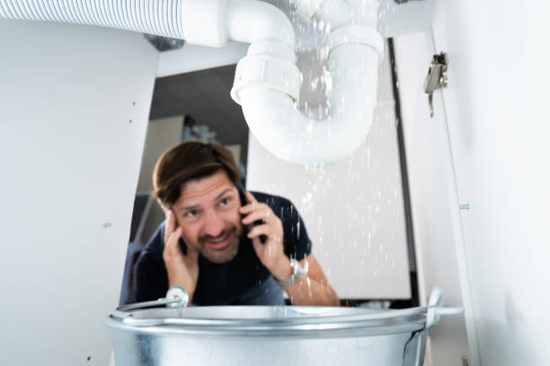 Best Sprinkler Systems  in Goldens Bridge, NY